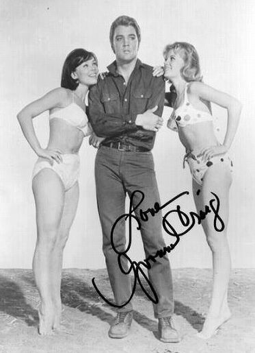 lollobrigida 015.jpg